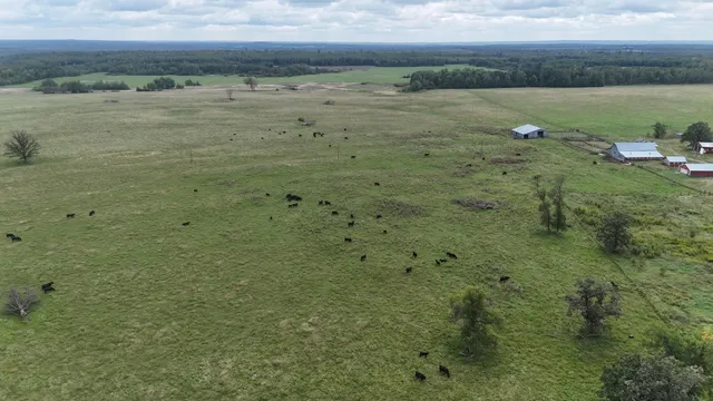 $970,000 | 19753 290th Street, Bagley, MN 56621