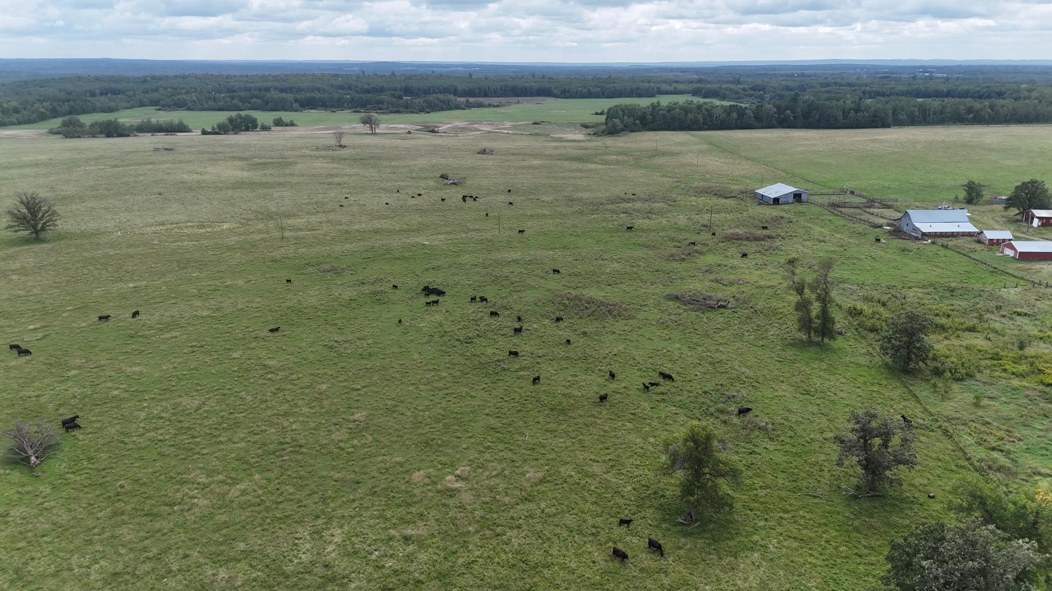 19753 290th Street Bagley, MN 56621 - Photo 26 of 29