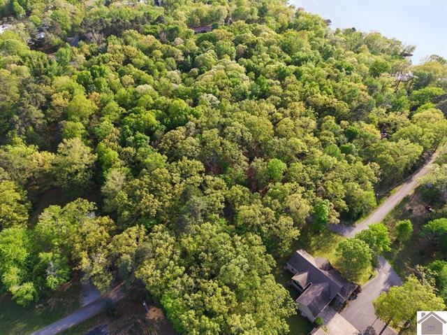 Lot 19-20 Post Oak Road Benton, KY 42025 - Photo 12 of 41 136588-eab7dde9-1769-4c32-80fa-86bd4b97e