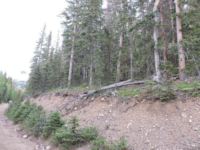 6940 Philip Road Fort Garland, CO 81133 - Photo 11 of 25 Gallery Image 11