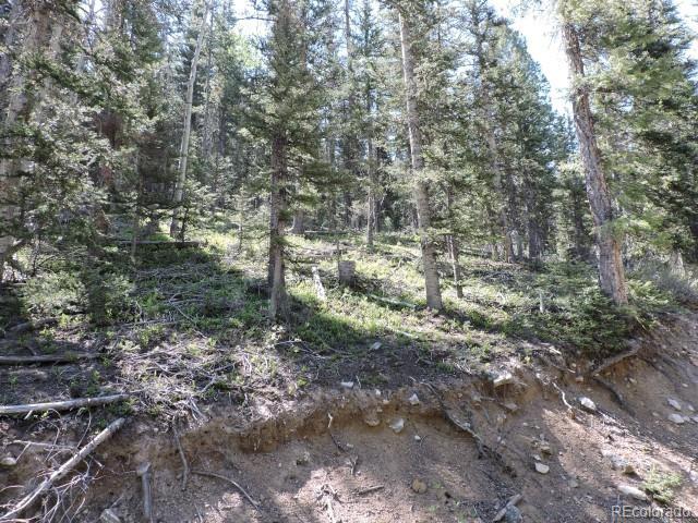 6940 Philip Road Fort Garland, CO 81133 - Photo 12 of 25 Gallery Image 12