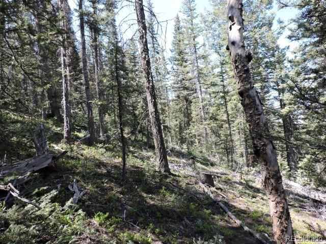 6940 Philip Road Fort Garland, CO 81133 - Photo 15 of 25 Gallery Image 15