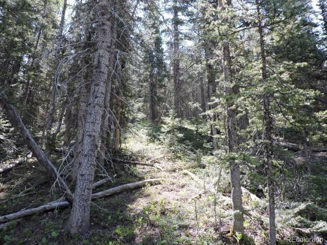 6940 Philip Road Fort Garland, CO 81133 - Photo 16 of 25 Gallery Image 16