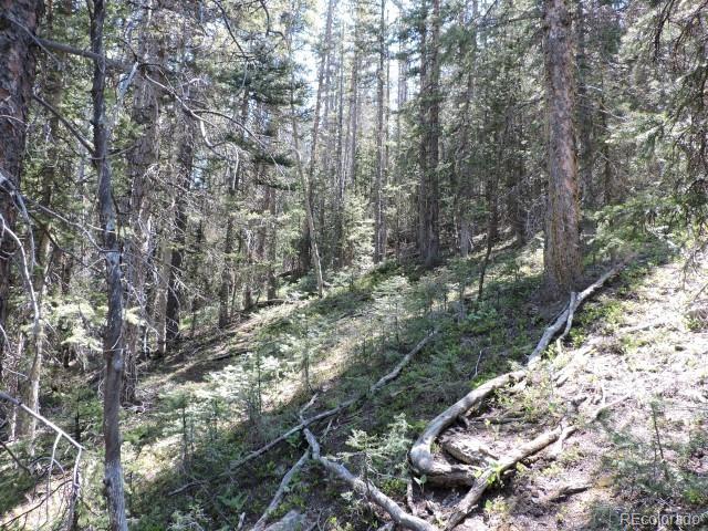 6940 Philip Road Fort Garland, CO 81133 - Photo 17 of 25 Gallery Image 17