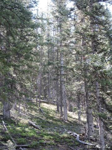 6940 Philip Road Fort Garland, CO 81133 - Photo 19 of 25 Gallery Image 19