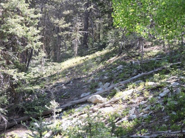 6940 Philip Road Fort Garland, CO 81133 - Photo 21 of 25 Gallery Image 21