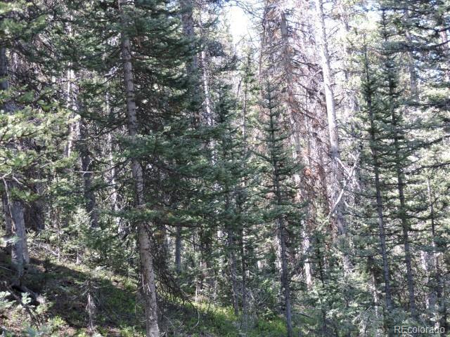 6940 Philip Road Fort Garland, CO 81133 - Photo 22 of 25 Gallery Image 22