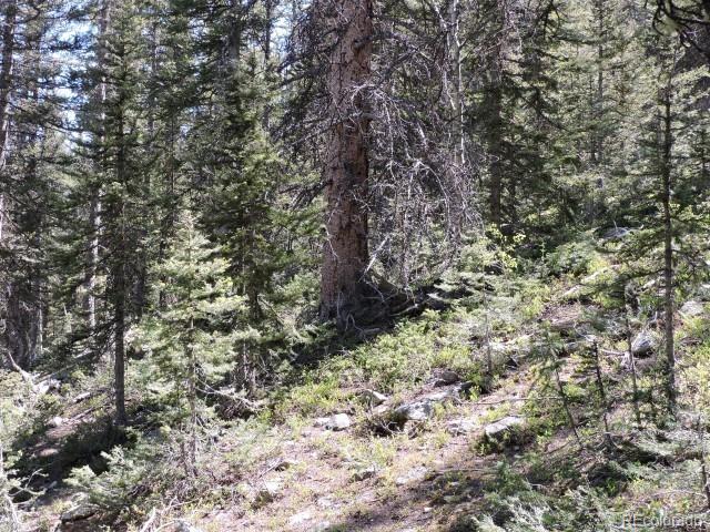 6940 Philip Road Fort Garland, CO 81133 - Photo 23 of 25 Gallery Image 23