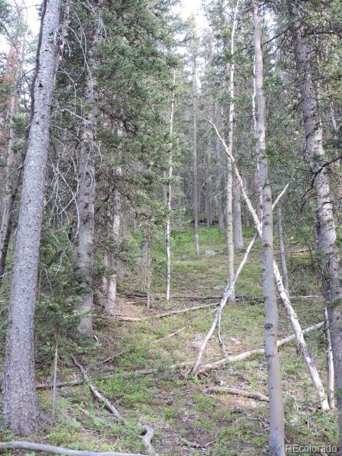 6940 Philip Road Fort Garland, CO 81133 - Photo 5 of 25 Gallery Image 5