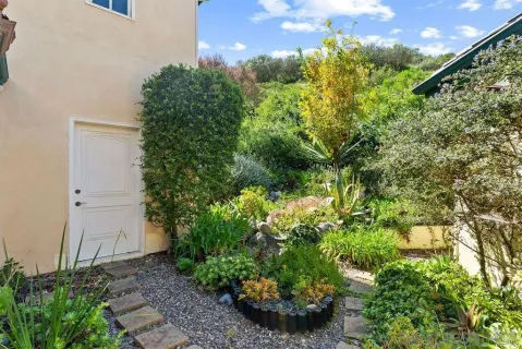 a wooden fence with some plants