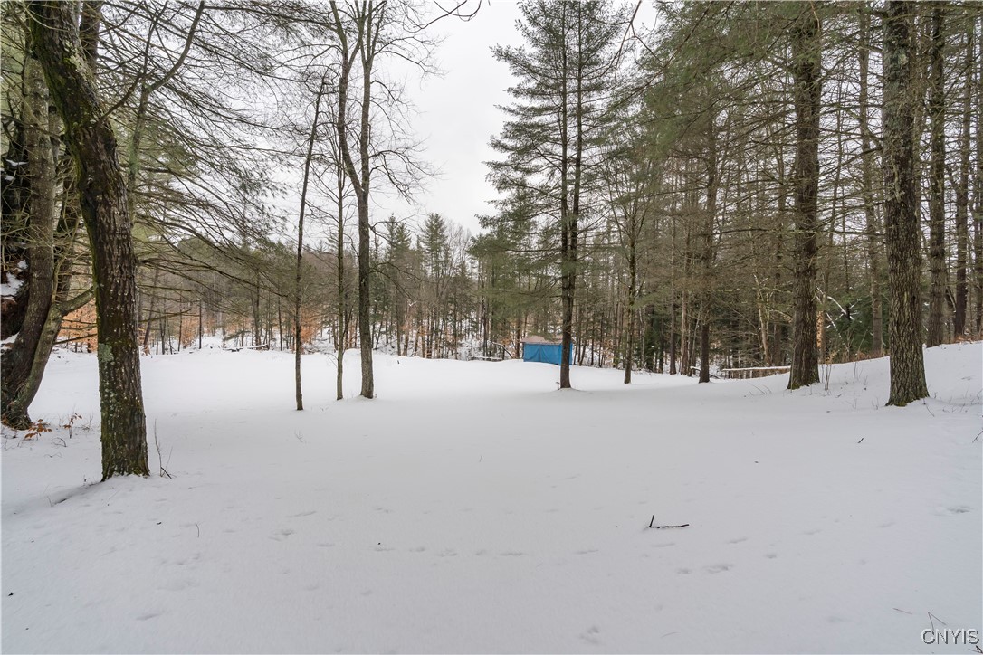 7750 Number 4 Road New Bremen, NY 13367 - Photo 8 of 30