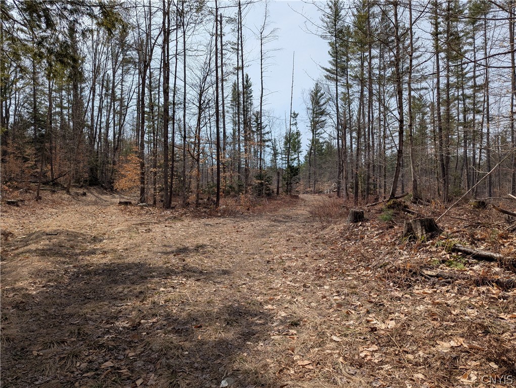 7750 Number 4 Road New Bremen, NY 13367 - Photo 8 of 32