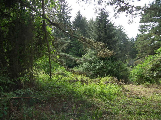 7156 Humboldt Hill Road Eureka, CA 95503 - Photo 27 of 31