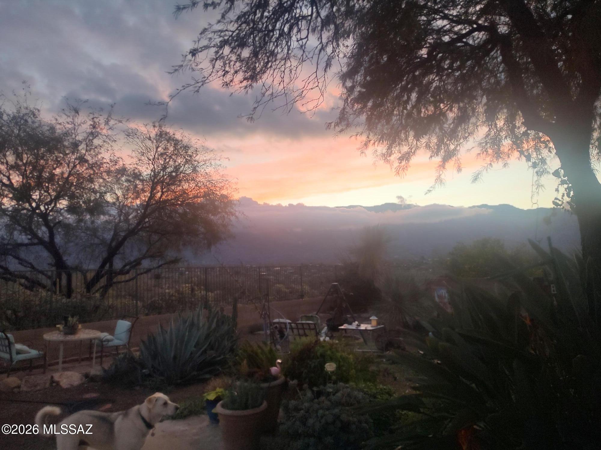 15142 North Rugged Lark Drive Tucson, AZ 85739 - Photo 6 of 32 Rugged Lark Sunrise photo