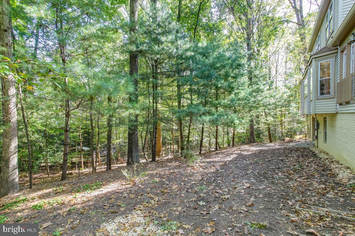 2277 Crows Nest Lane Reston, VA 20191 - Photo 33 of 35