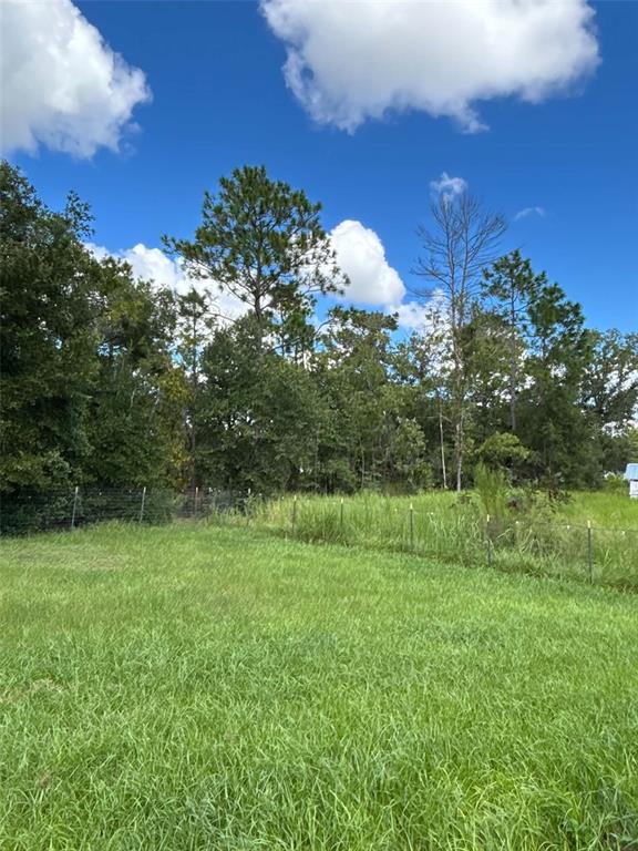 13 Locust Loop Ocala, FL 34472 - Photo 19 of 22 Gallery Image 19