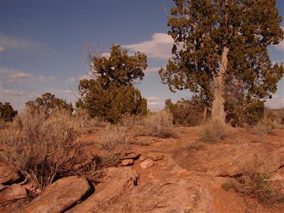 0 South Rim Ranch Williams, AZ 86046 - Photo 3 of 4 Additional Photo