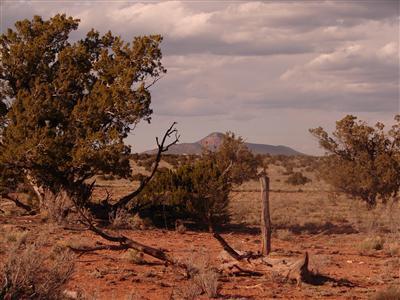 0 South Rim Ranch Williams, AZ 86046 - Photo 4 of 4 Additional Photo