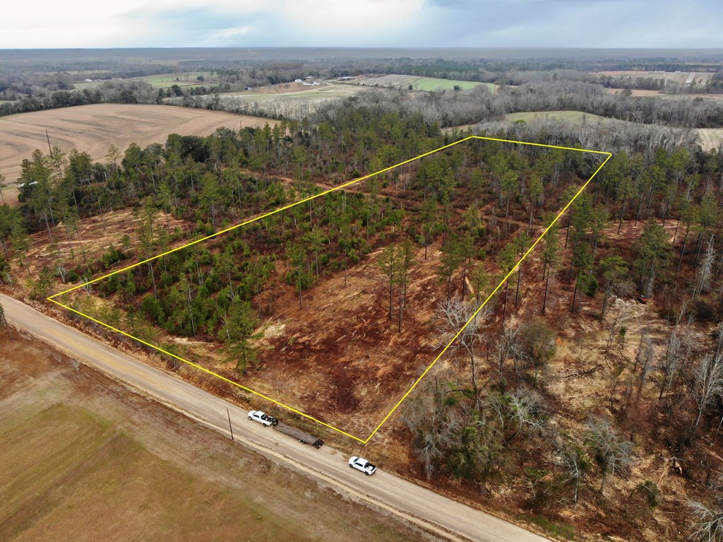 22-acres Donzell Road Cottonwood, AL 36320 - Photo 9 of 15