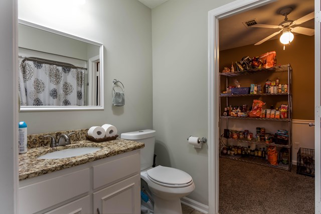 6815 Cartledge Road Box Springs, GA 31801 - Photo 20 of 27 a bathroom with a granite countertop sink a toilet and a shower