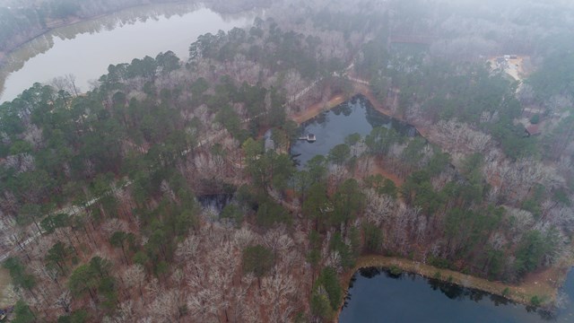 6815 Cartledge Road Box Springs, GA 31801 - Photo 27 of 27 a view of a forest