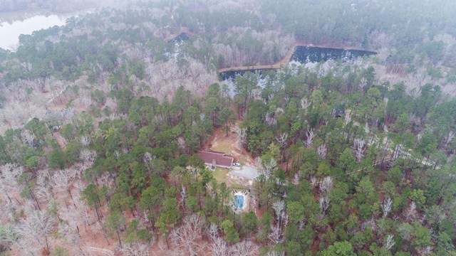 6815 Cartledge Road Box Springs, GA 31801 - Photo 3 of 27 a close up of a tree