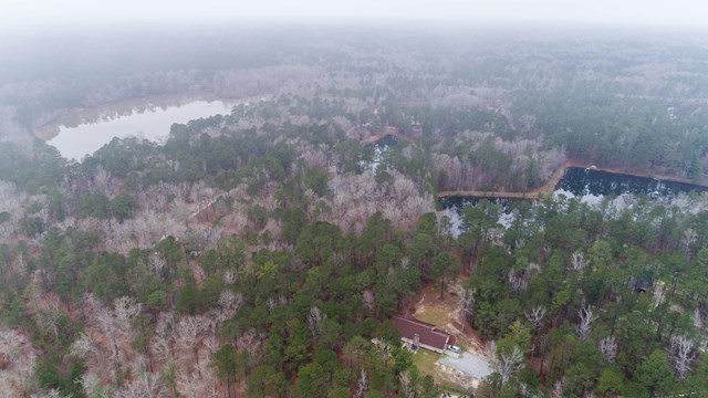 6815 Cartledge Road Box Springs, GA 31801 - Photo 4 of 27 a view of a forest