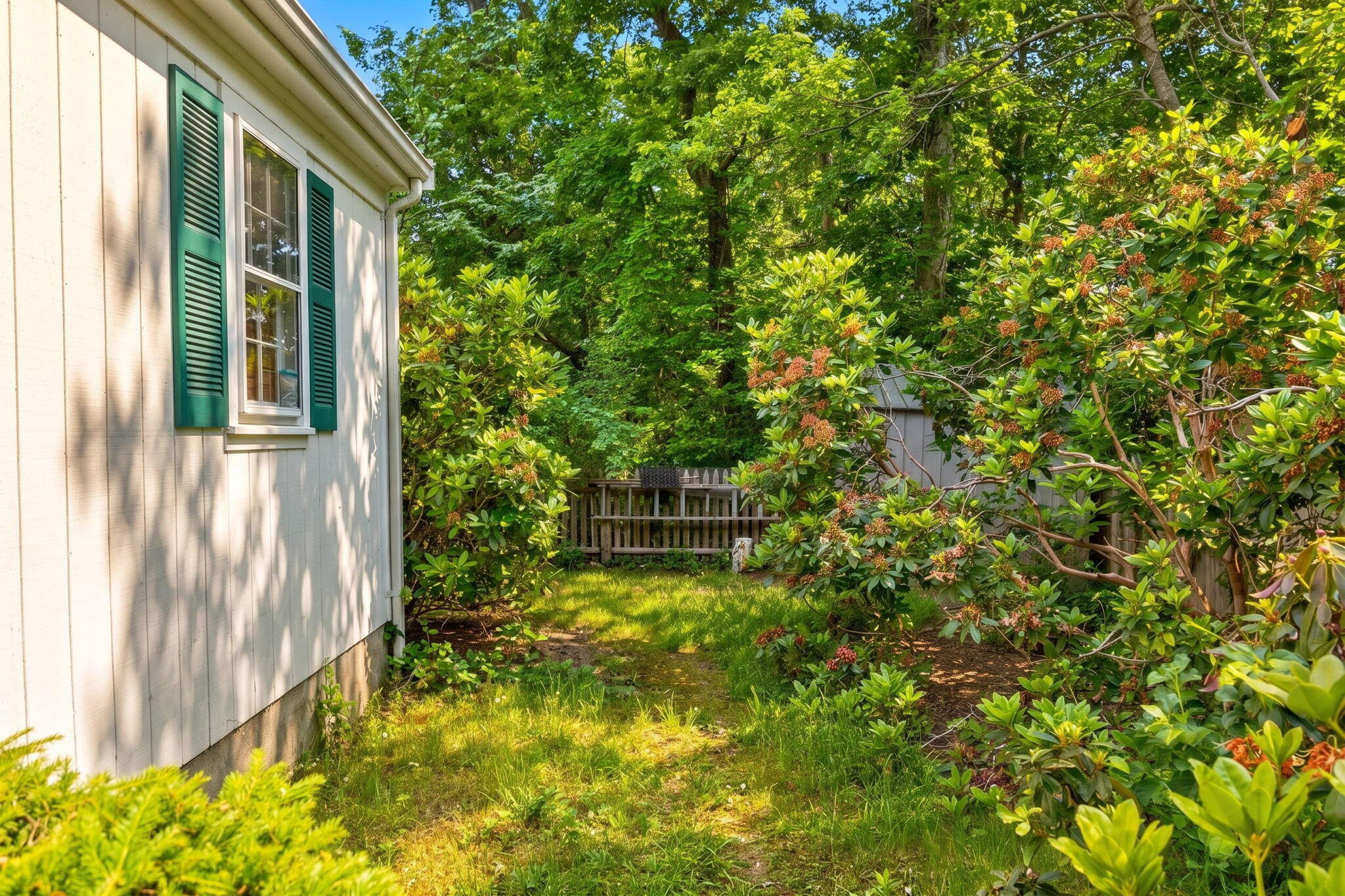 65 Richardson Road Centerville, MA 02632 - Photo 28 of 34 9-8P0A4839