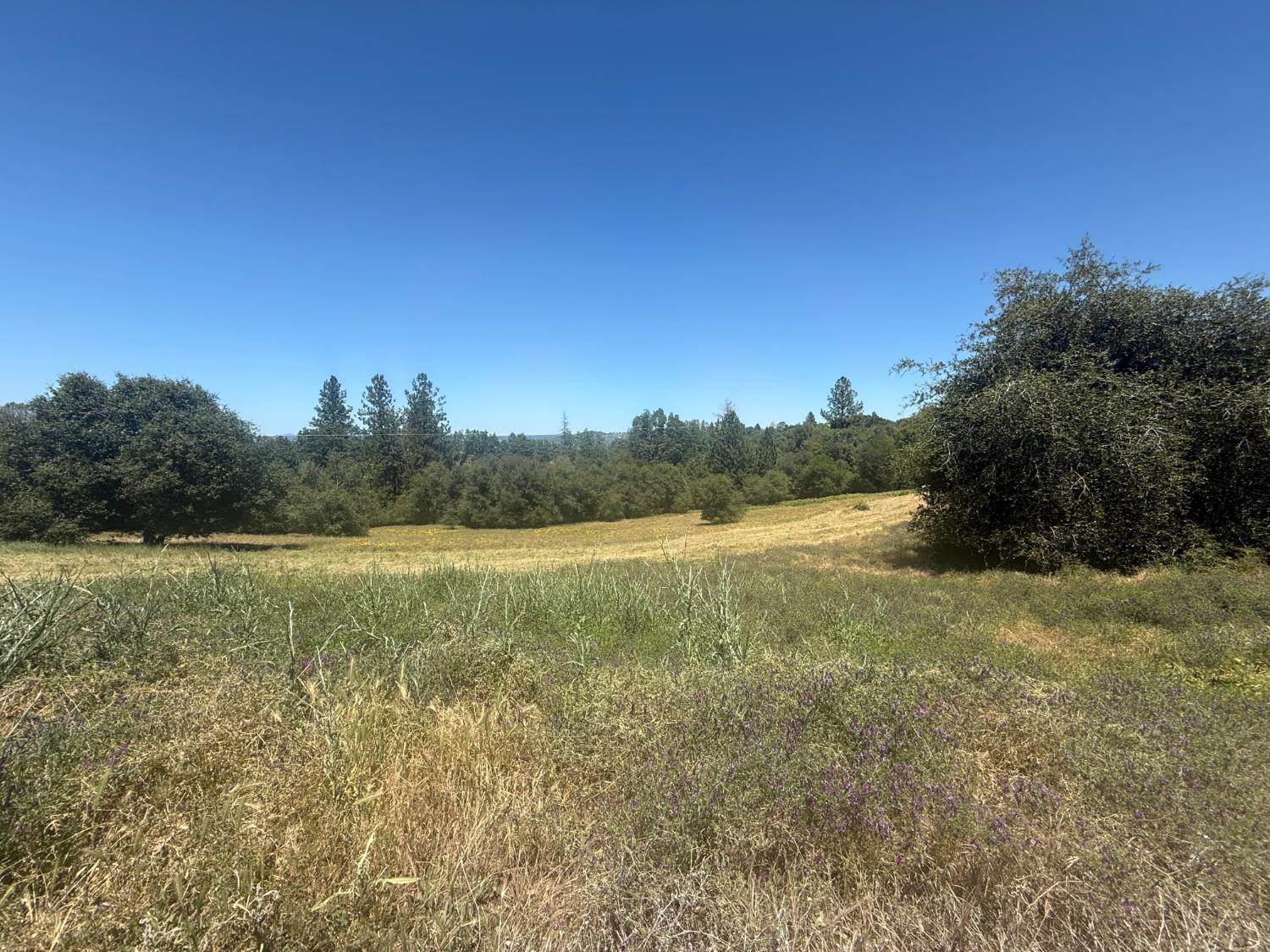 2322 Myrick Road Somerset, CA 95684 - Photo 4 of 30 a view of lake with green space