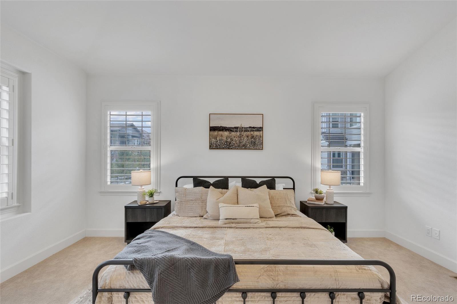 10632 Star Thistle Court Highlands Ranch, CO 80126 - Photo 17 of 50