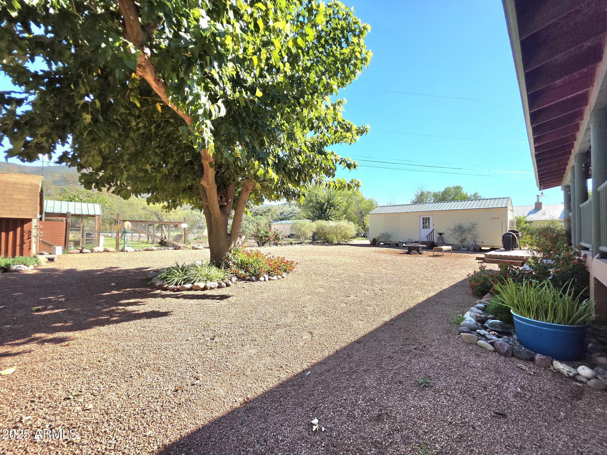367 River Road Payson, AZ 85541 - Photo 40 of 44 a view of a yard with plants and trees