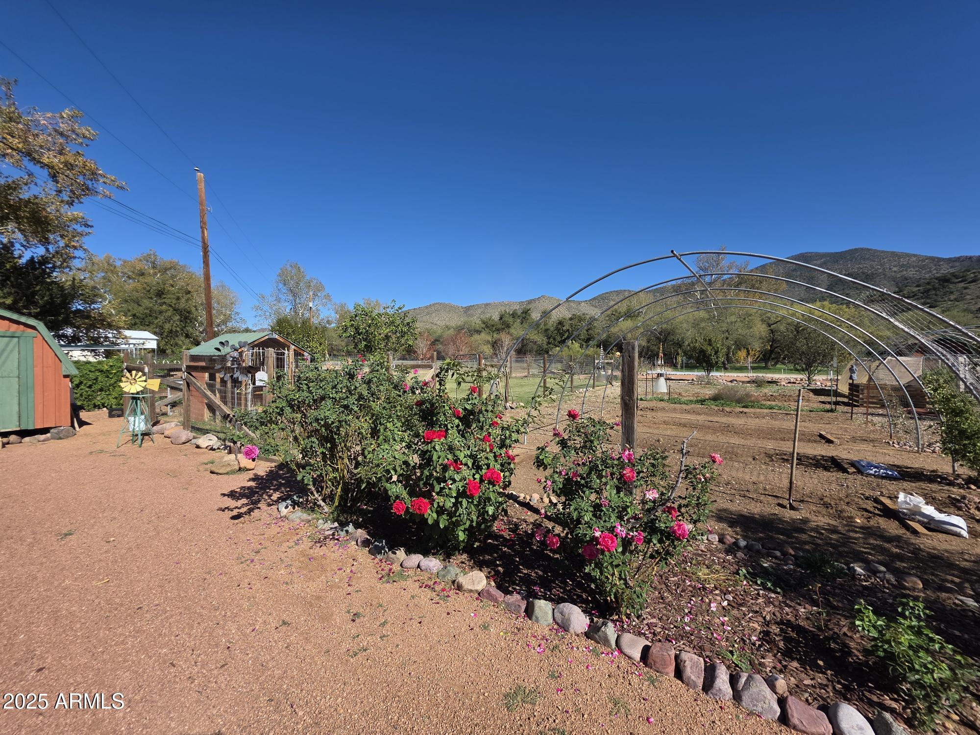 367 River Road Payson, AZ 85541 - Photo 42 of 44 a view of a potted flower in a yard