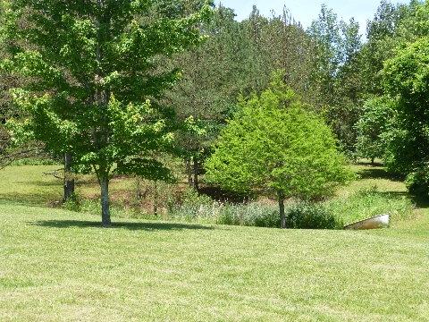 1666 Council Bend Road Centerville, TN 37033 - Photo 13 of 18 The frog pond ~ wet weather ~ at times very little water.