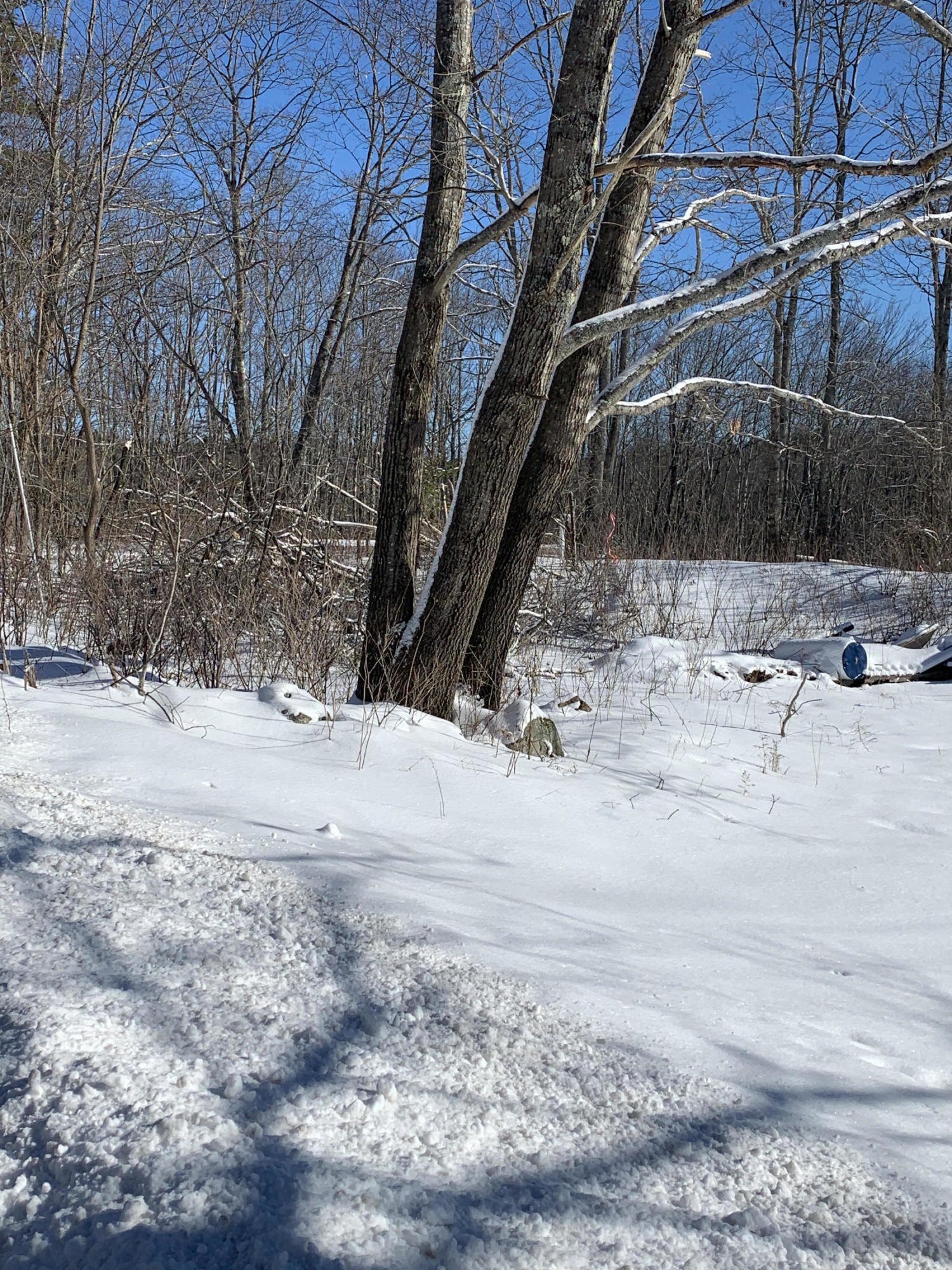 170 Baker Road Freeport, ME 04032 - Photo 12 of 16 IMG_3443