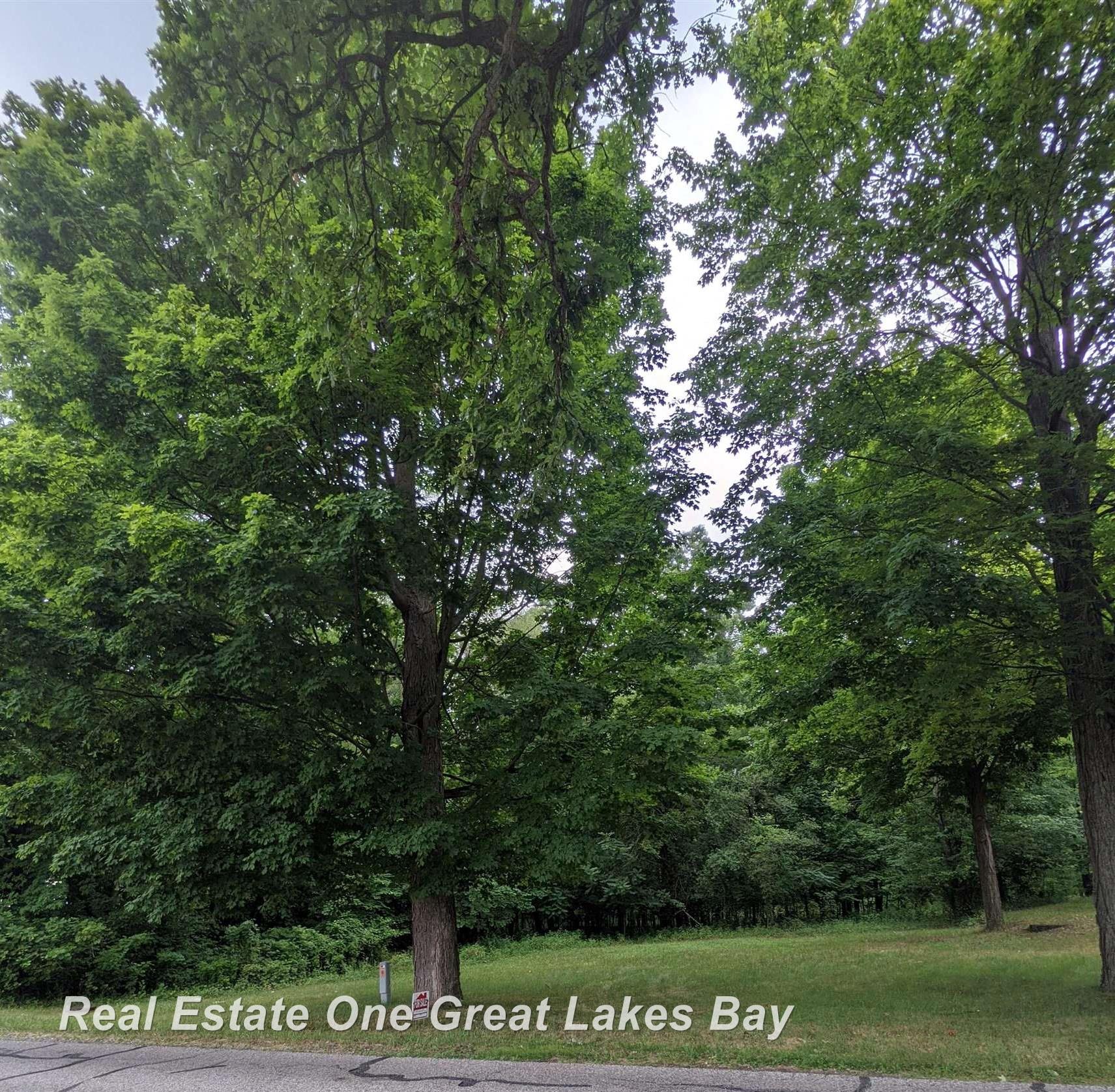 West Walnut Street St. Charles, MI 48655 - Photo 2 of 5