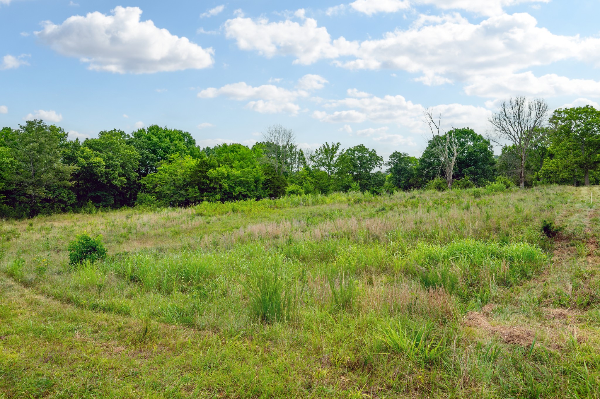 0 Haley Road Watertown, TN 37184 - Photo 15 of 18