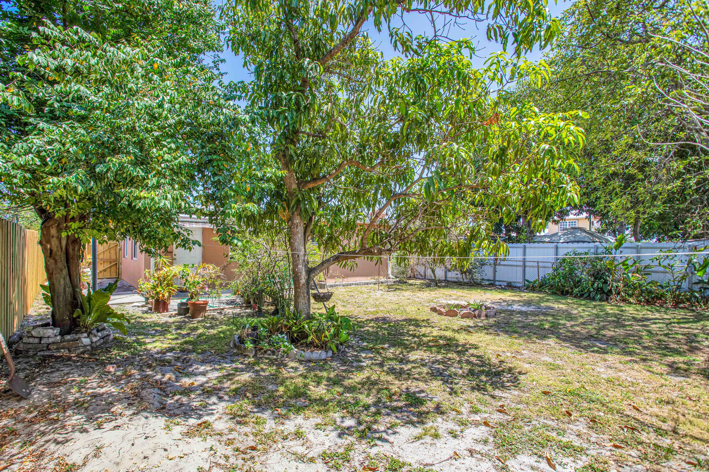 424 Southwest 64th Court Miami, FL 33144 - Photo 42 of 44 a view of a yard with plants and trees