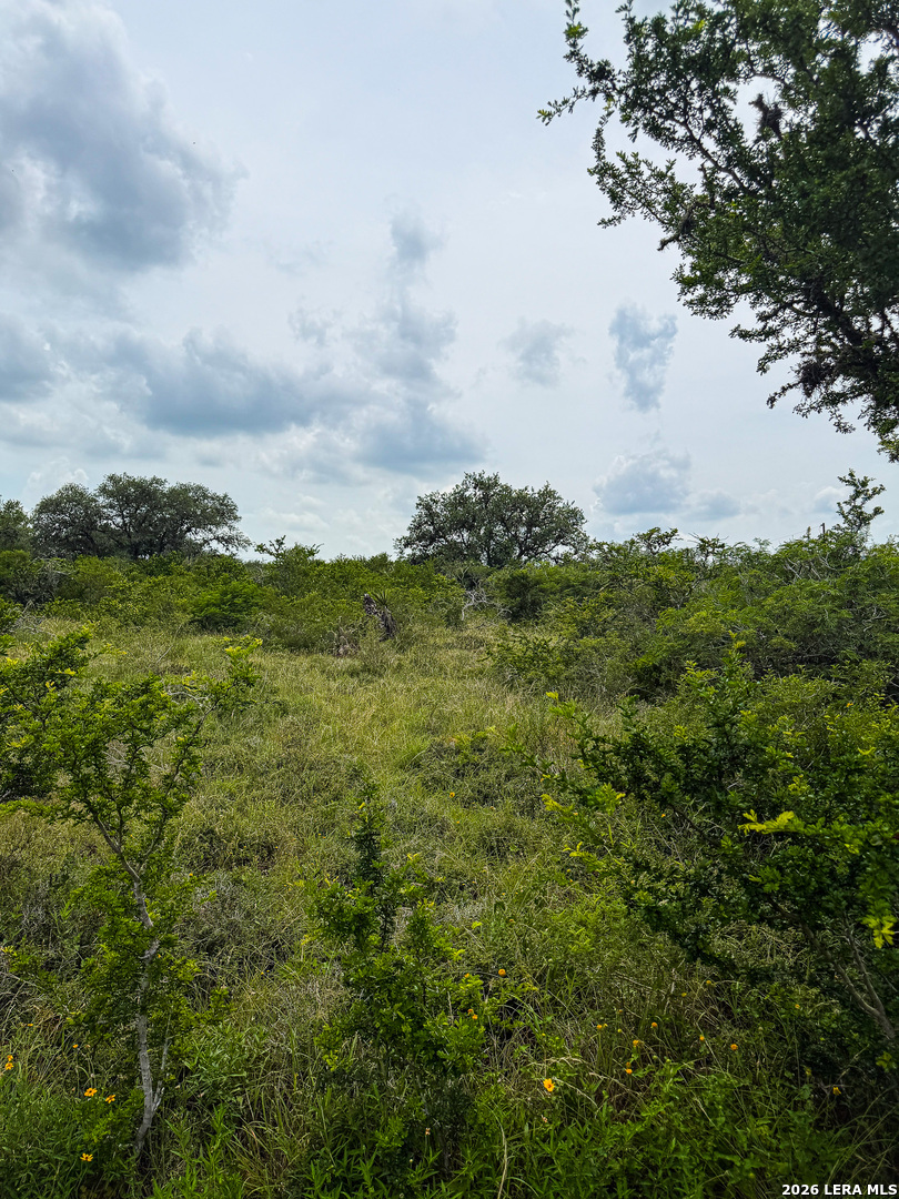 0 Lt 23 Yucca Trail Three Rivers, TX 78071 - Photo 5 of 13