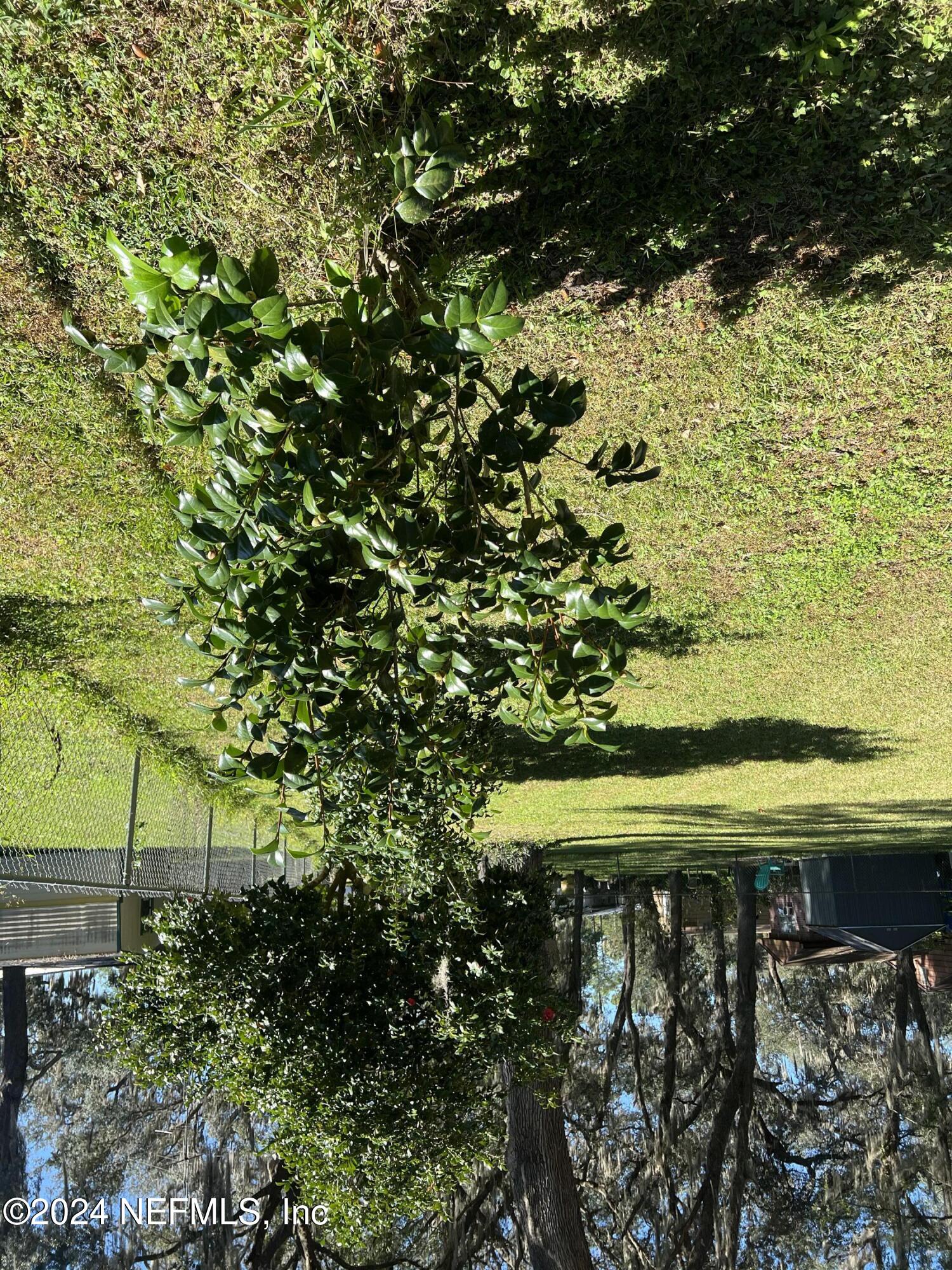 113 Velvet Street Interlachen, FL 32148 - Photo 54 of 54 IMG_2489