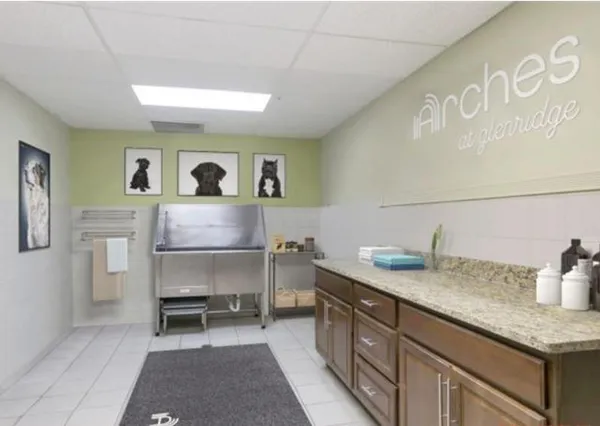a view of cabinets a sink and dishwasher in a kitchen