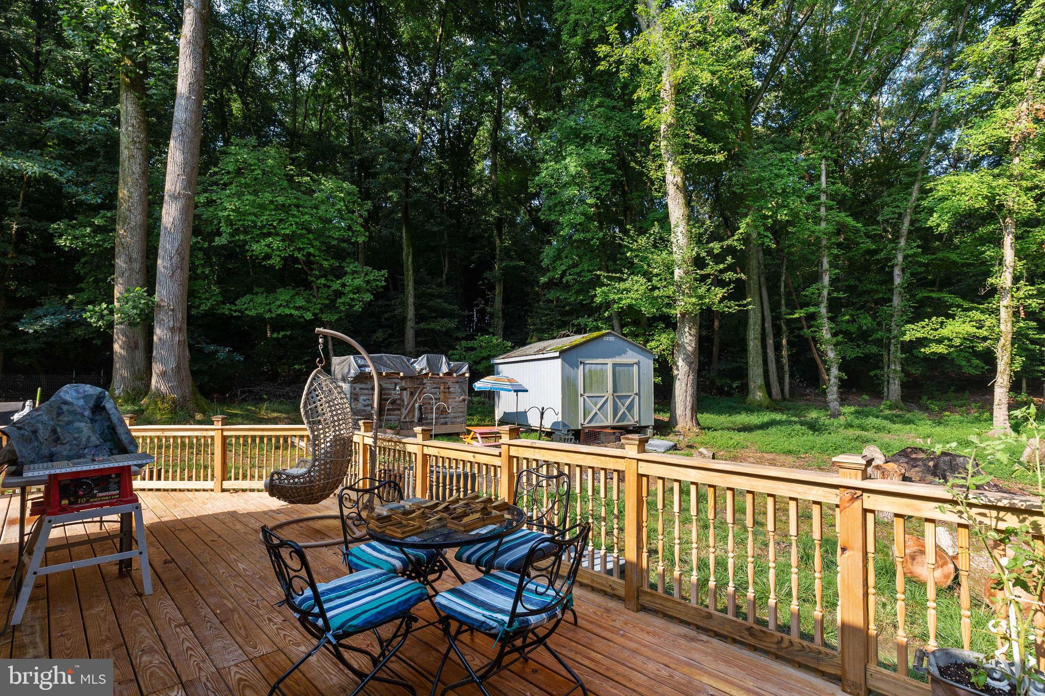 10937 Riverview Road Fort Washington, MD 20744 - Photo 12 of 40 Wooded area