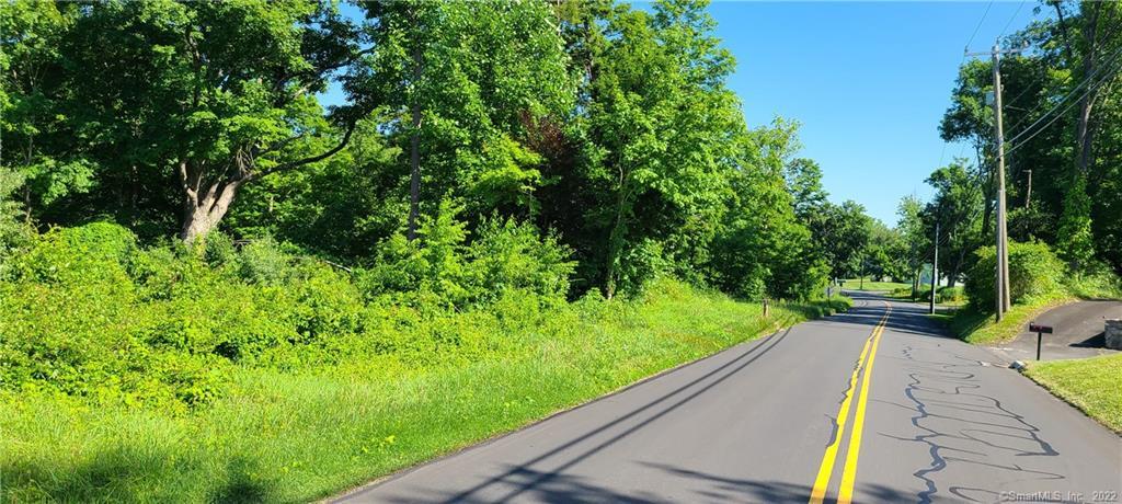 81 Pocono Road Brookfield, CT 06804 - Photo 1 of 1 a view of a garden