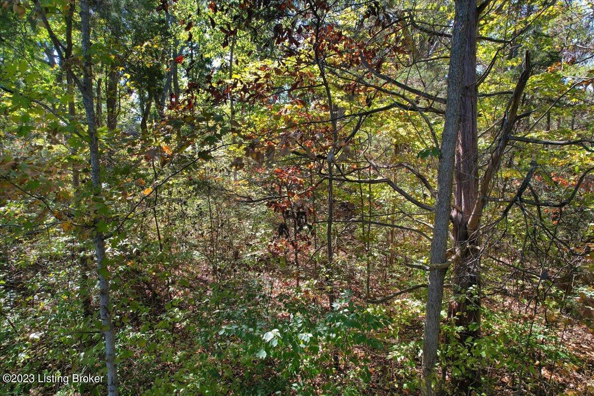 1 Fendley Road La Grange, KY 40031 - Photo 14 of 14 15-Fendley Rd -115