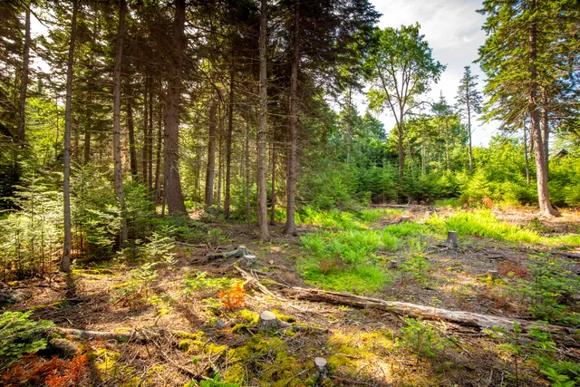 $785,000 | M15-l20-tbd Golf Club Road, Islesboro, ME 04848