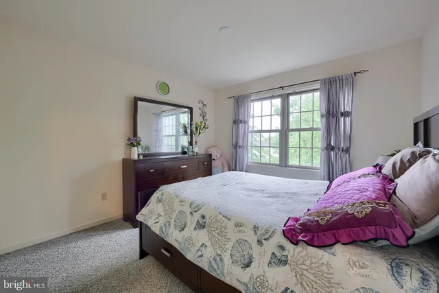 a view of a big yard with plants and large trees