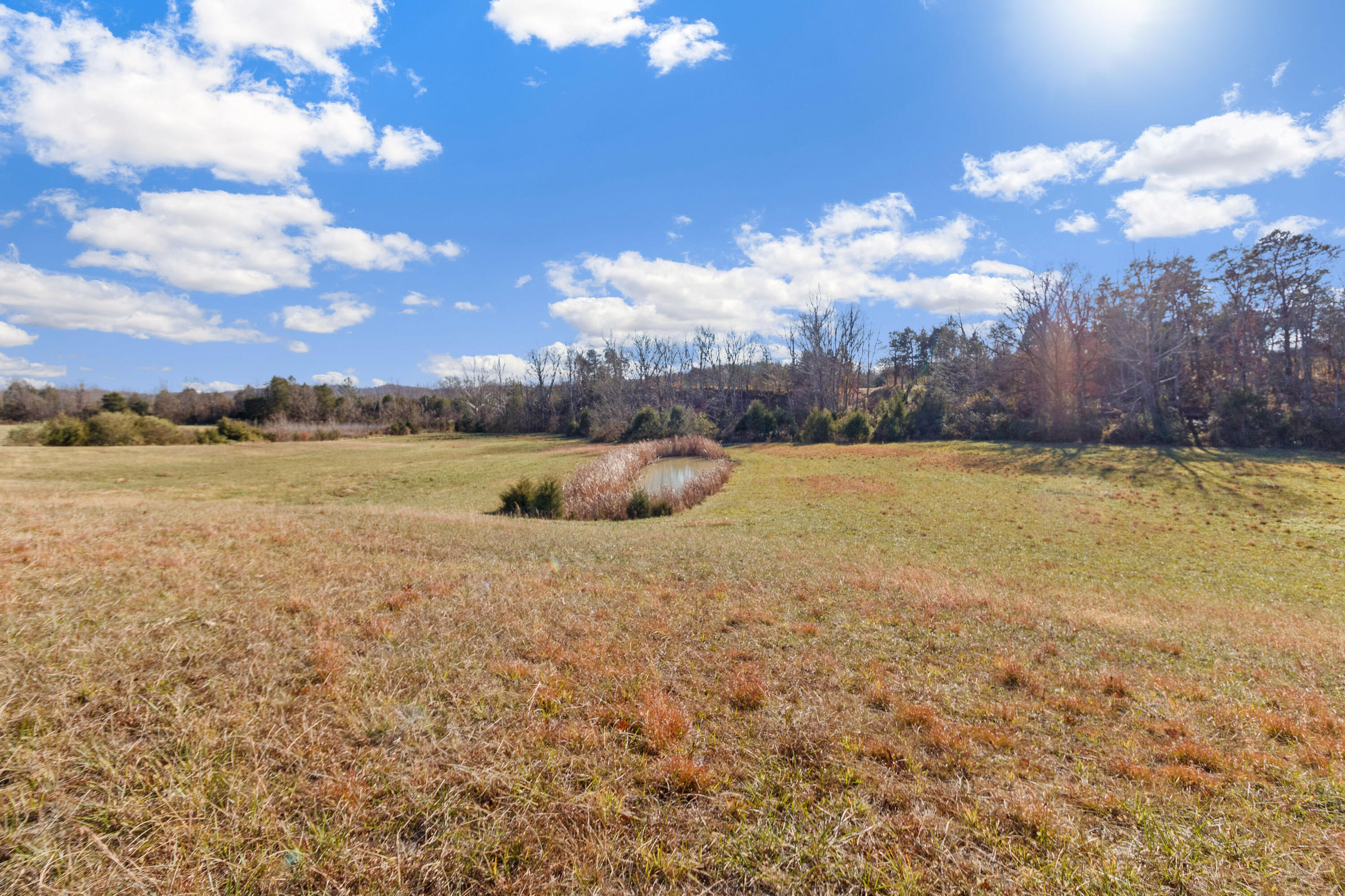 Lot 2 Marvin Road Mosheim, TN 37818 - Photo 3 of 5 48
