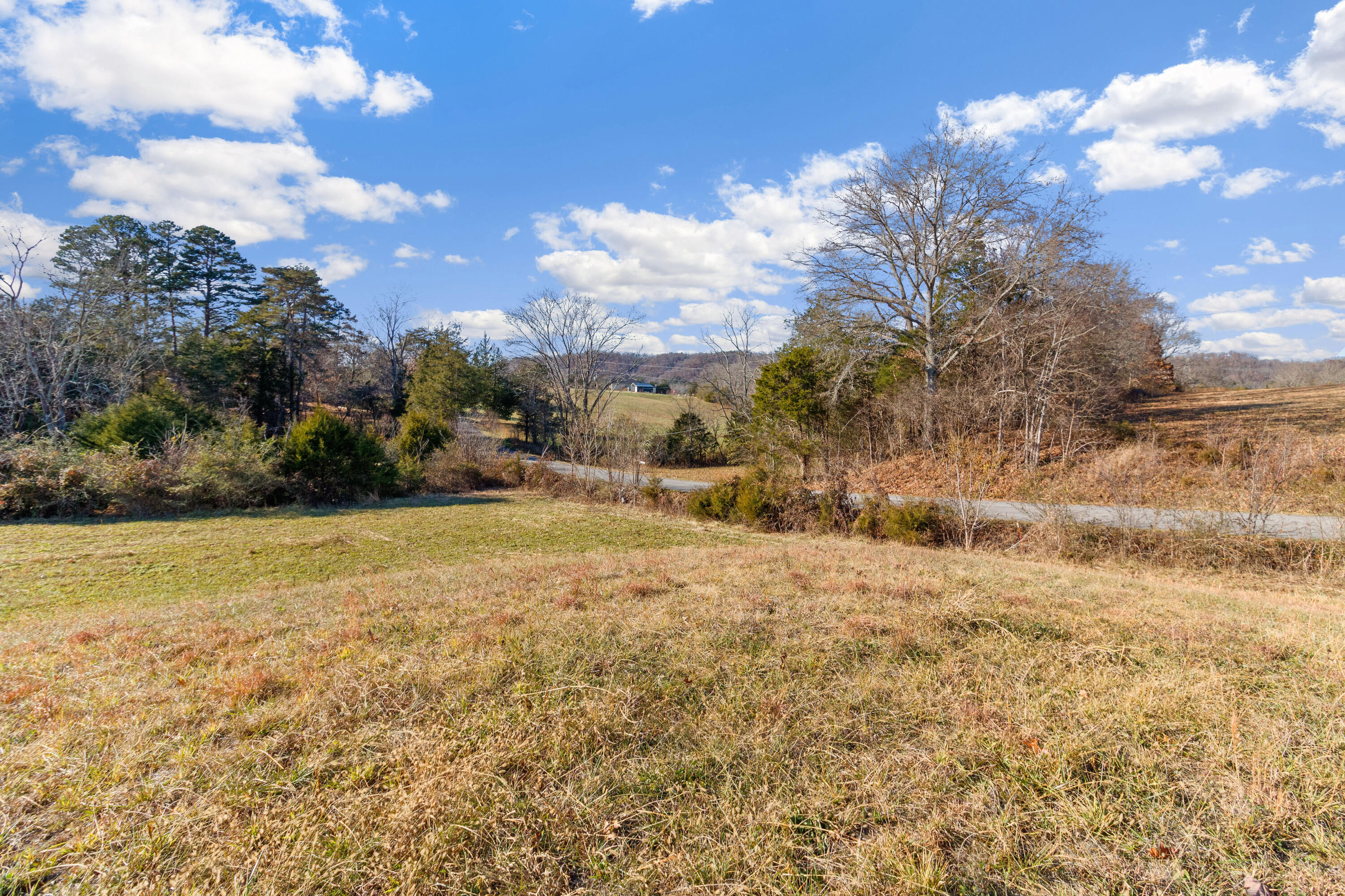 Lot 2 Marvin Road Mosheim, TN 37818 - Photo 4 of 5 49
