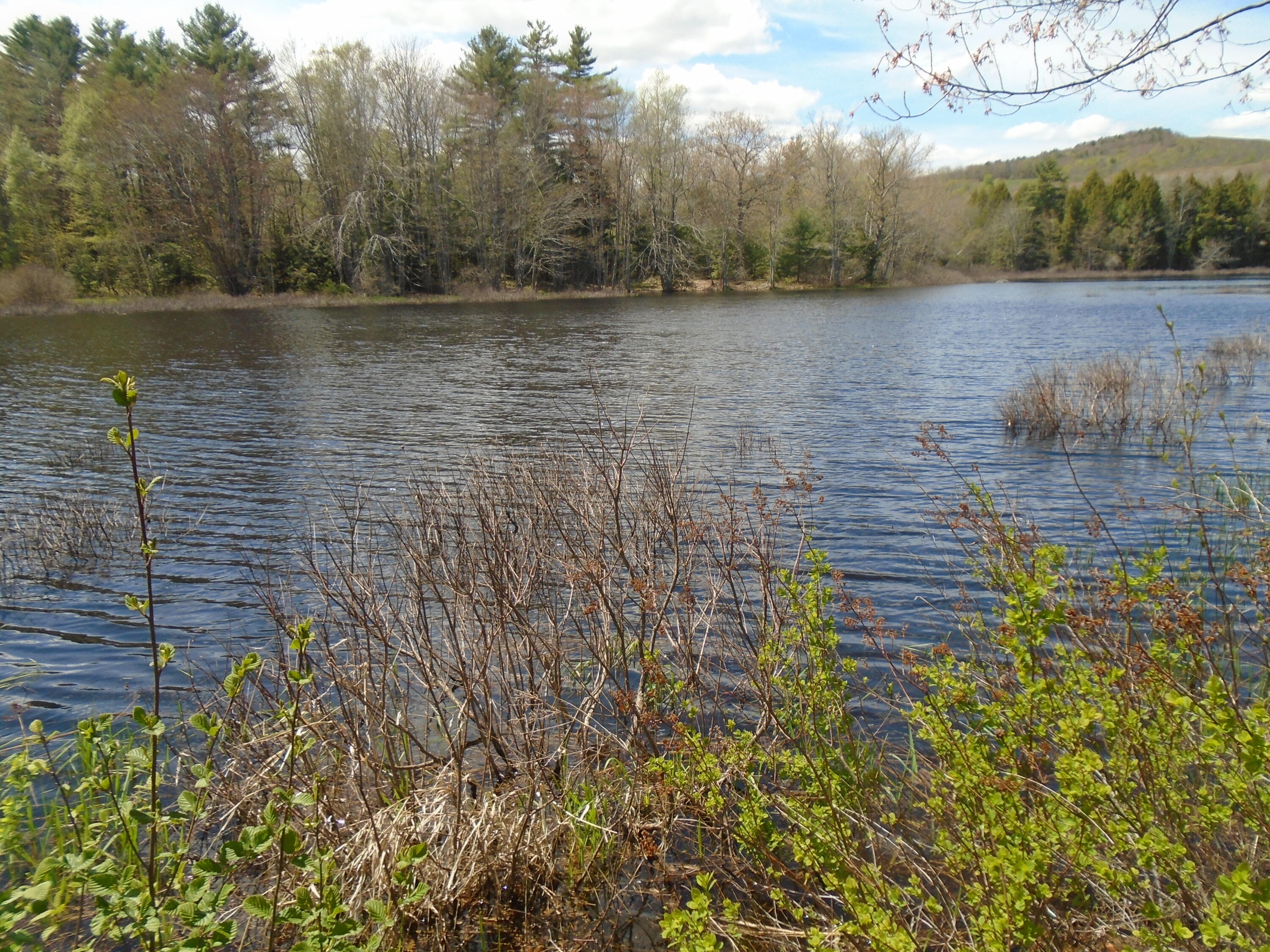 108 Trues Pond Road Montville, ME 04941 - Photo 25 of 27 Trues Pond