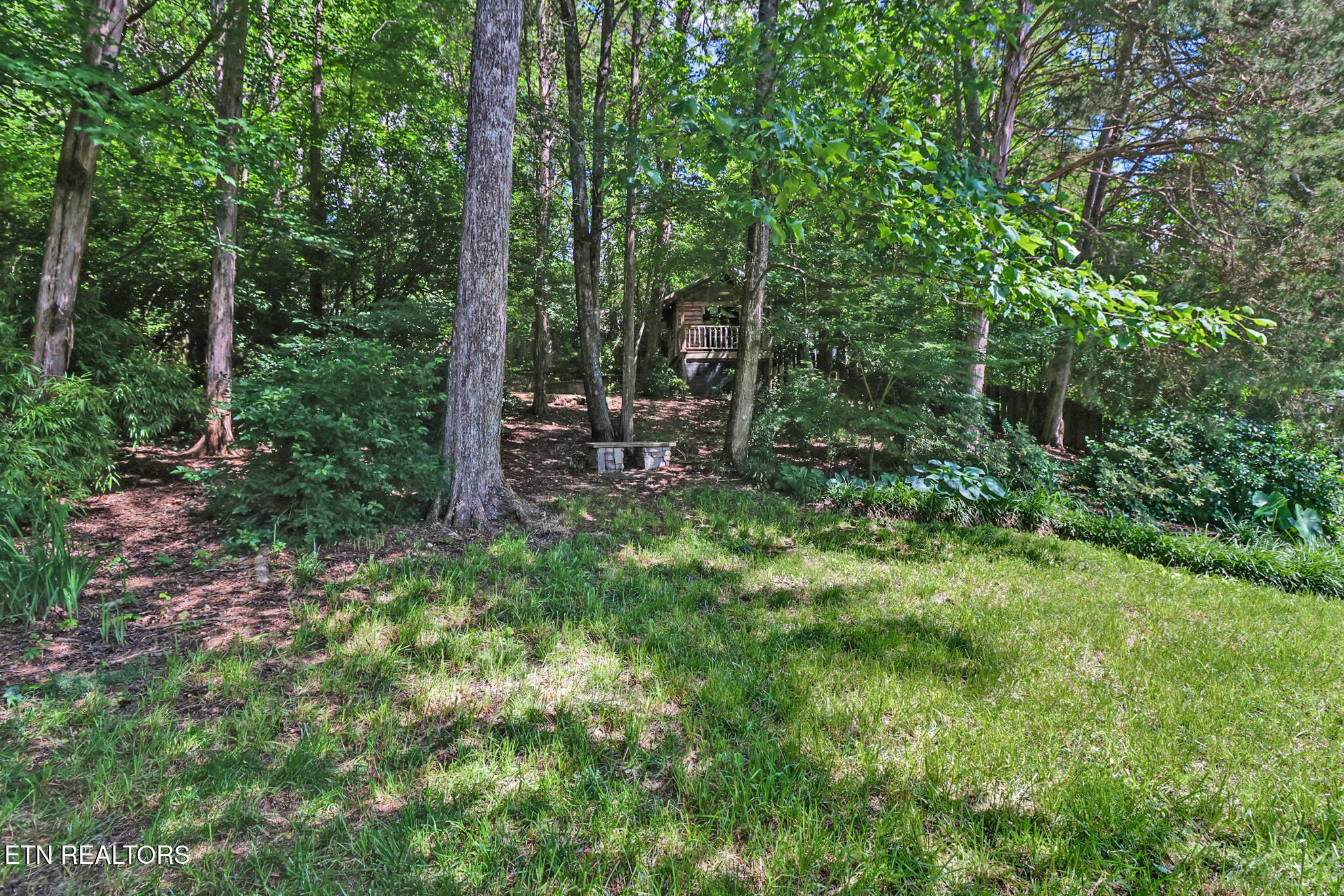 104 Maltese Lane Oak Ridge, TN 37830 - Photo 47 of 54 Back Yard