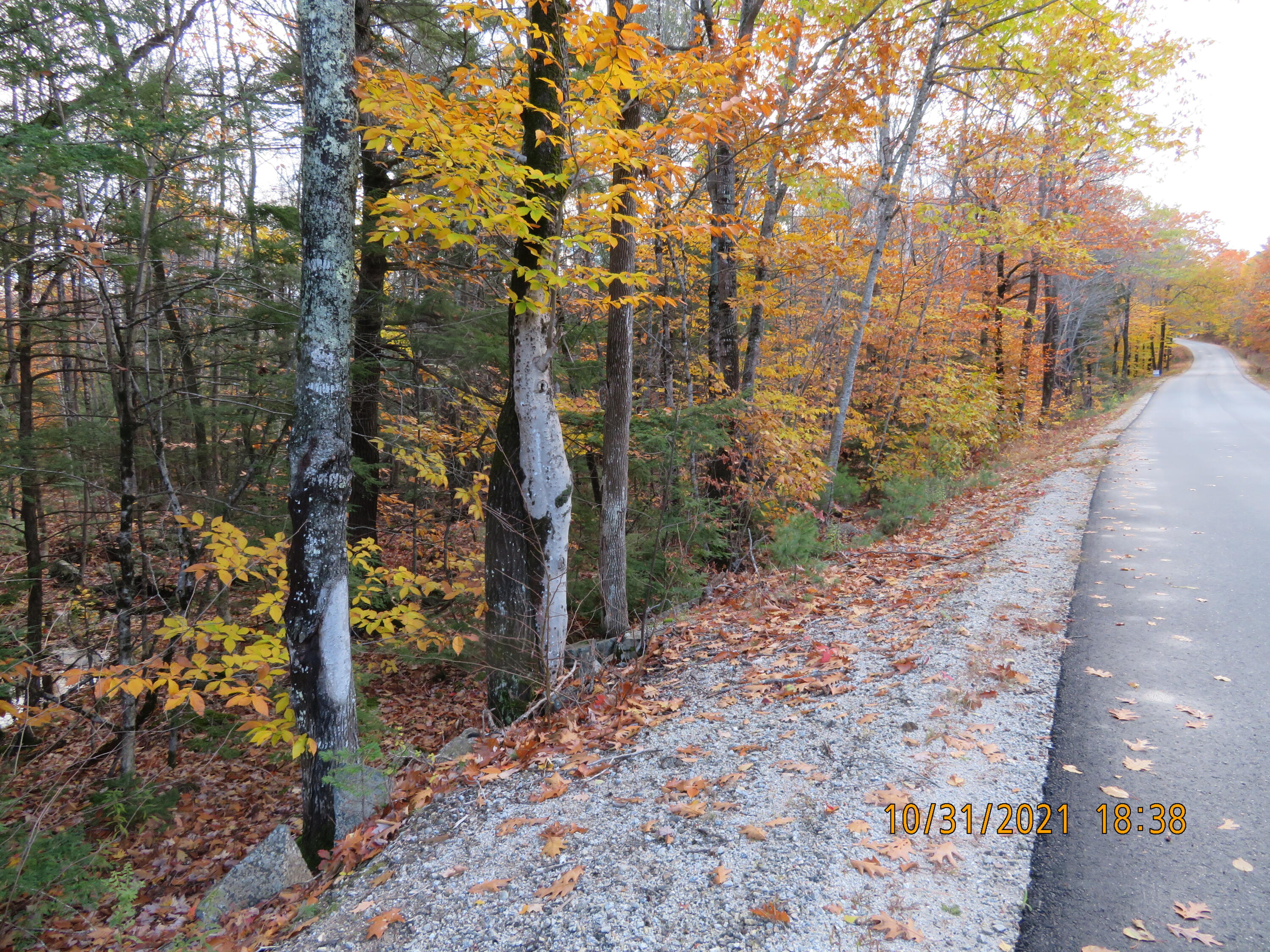 0 Maple Ridge Road Harrison, ME 04040 - Photo 2 of 4 IMG_2269